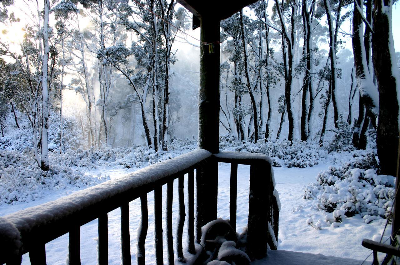 فيلا Moinaفي Wombat Cabin المظهر الخارجي الصورة