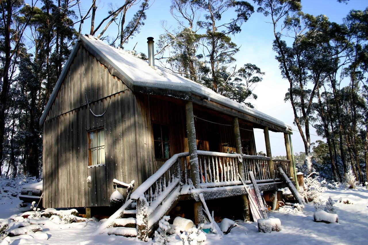 فيلا Moinaفي Wombat Cabin المظهر الخارجي الصورة
