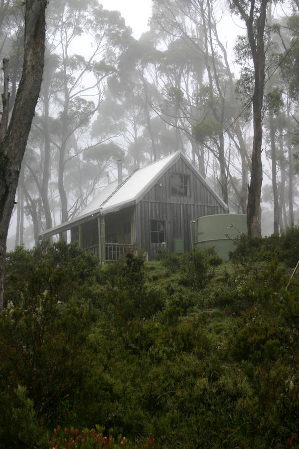 فيلا Moinaفي Wombat Cabin المظهر الخارجي الصورة